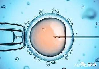 专业拉拉代怀助孕费用多少